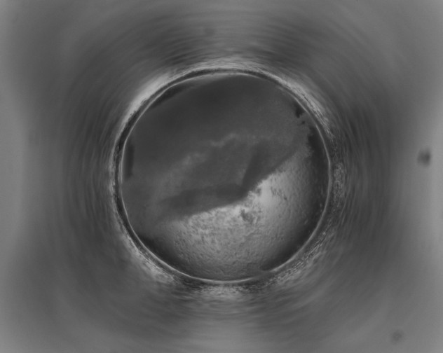 X0000096180998200801181308