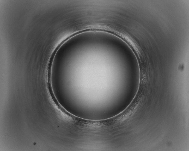 X0000096180999200801181308