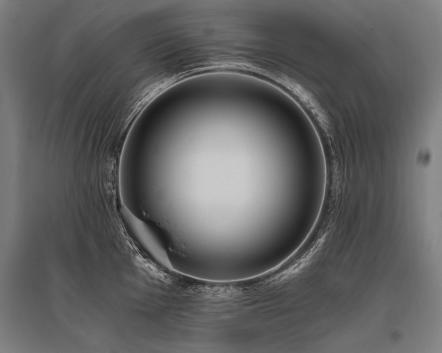 X0000096181001200801181308
