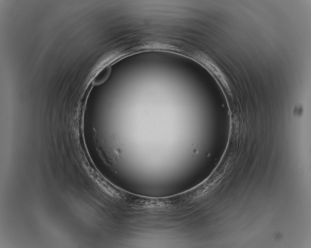 X0000096181002200801181308