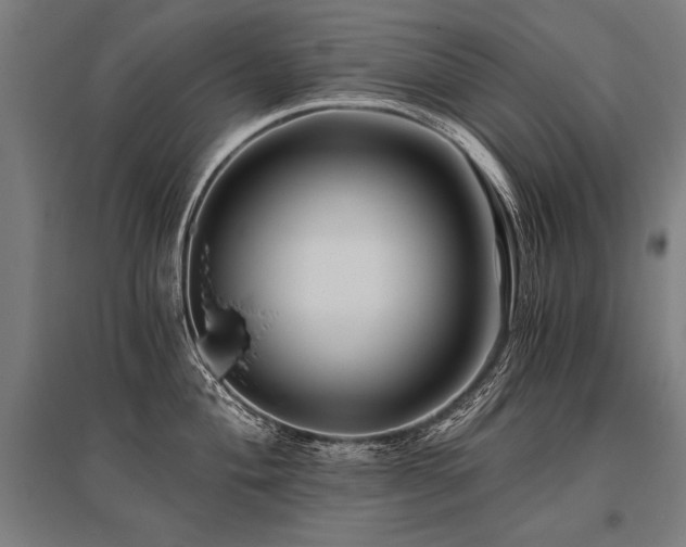 X0000096181004200801181308