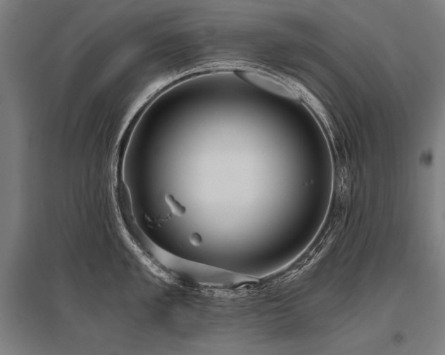X0000096181005200801181308