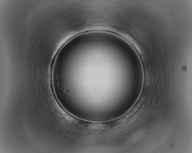 X0000096181006200801181308