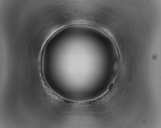 X0000096181008200801181308