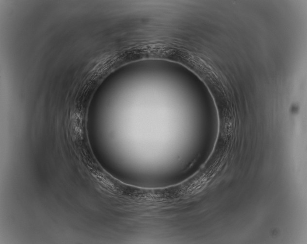 X0000096181010200801181307