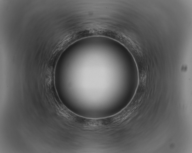 X0000096181012200801181307