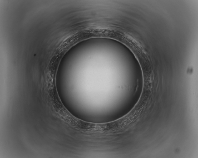 X0000096181013200801181307