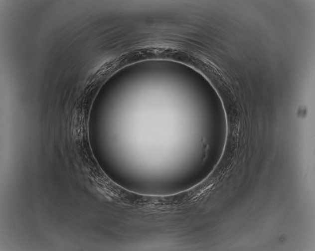 X0000096181014200801181307