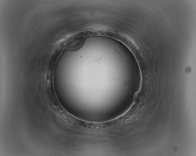 X0000096181016200801181307