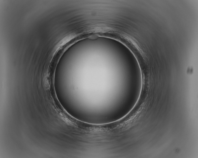X0000096181018200801181307