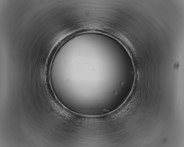 X0000096181020200801181307