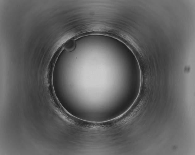 X0000096181026200801181308