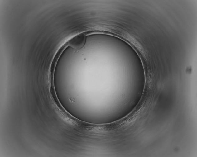 X0000096181028200801181308