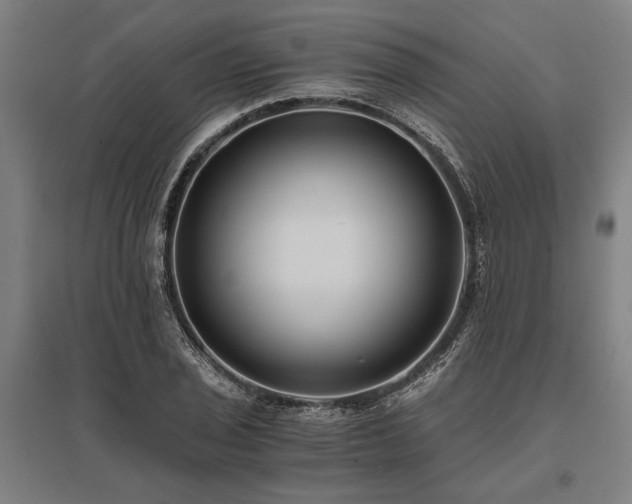 X0000096181029200801181308