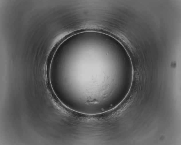 X0000096181030200801181308