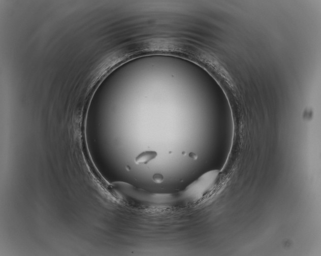 X0000096181033200801181308