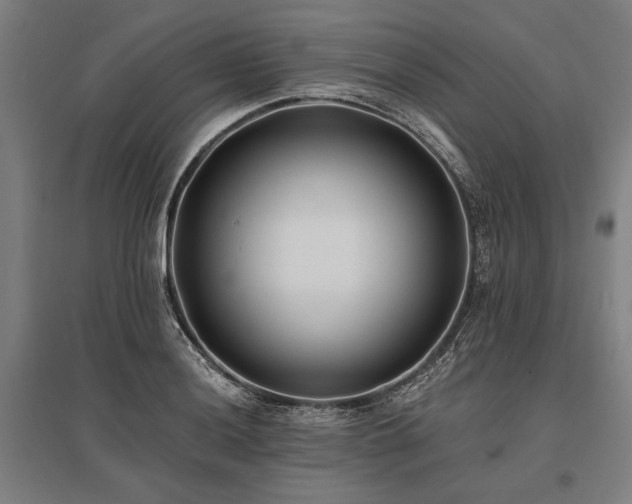 X0000096181036200801181308