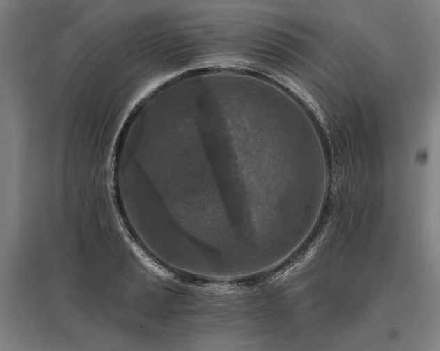 X0000096181037200801181308
