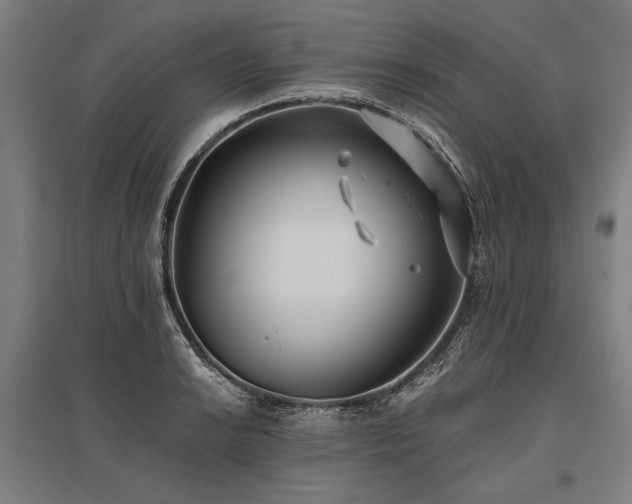 X0000096181038200801181308
