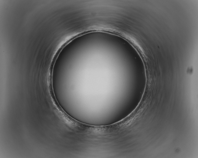 X0000096181040200801181308