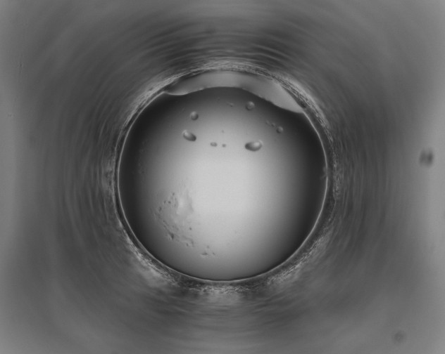 X0000096181041200801181308
