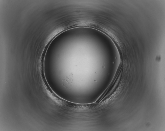 X0000096181042200801181308