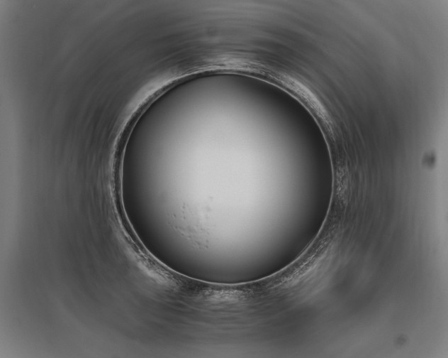 X0000096181043200801181308