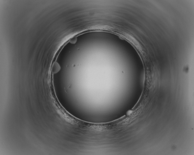 X0000096181044200801181308