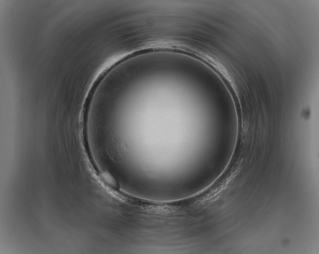 X0000096181045200801181308