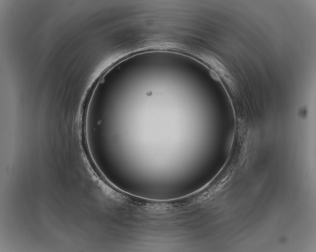 X0000096181046200801181308
