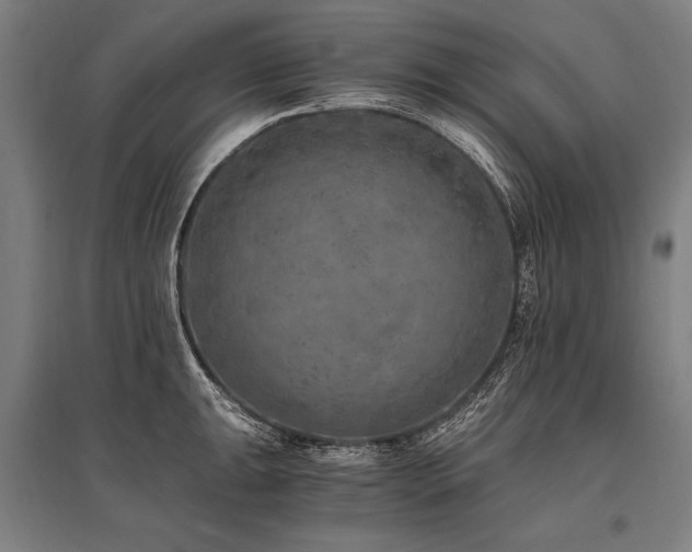 X0000096181047200801181308