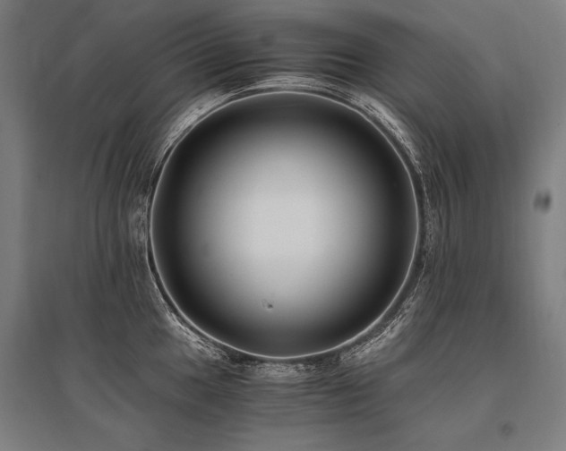 X0000096181049200801181308