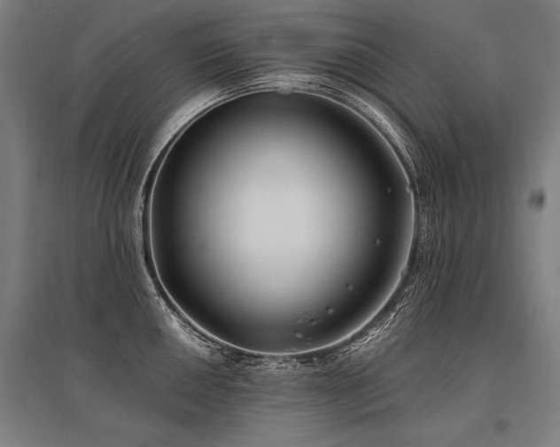 X0000096181050200801181308