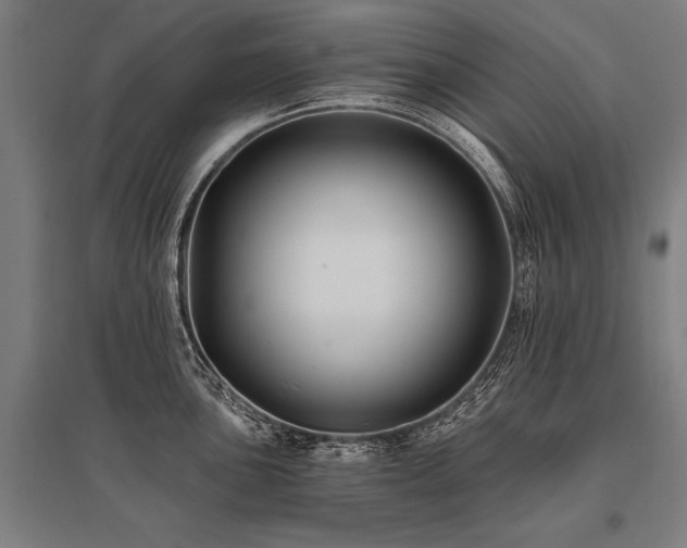 X0000096181051200801181308