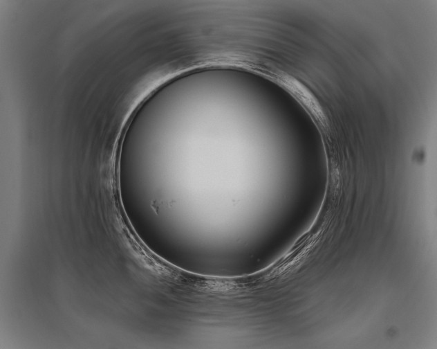 X0000096181052200801181308