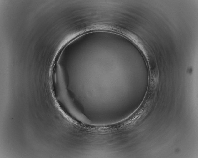X0000096181053200801181308