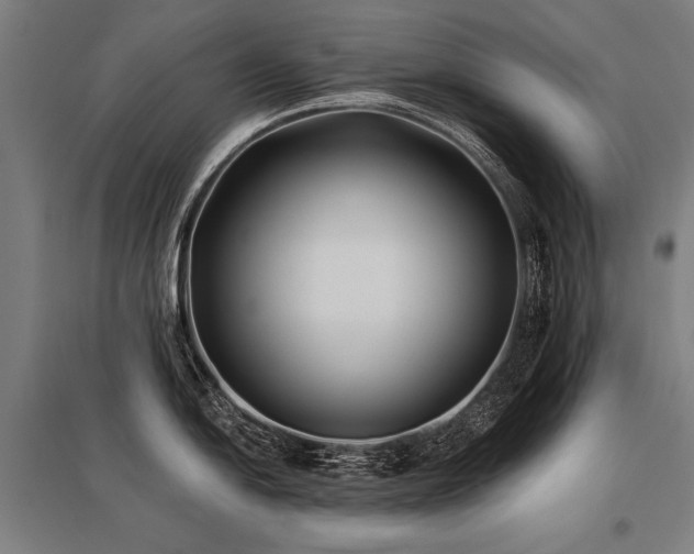 X0000096181054200801181308