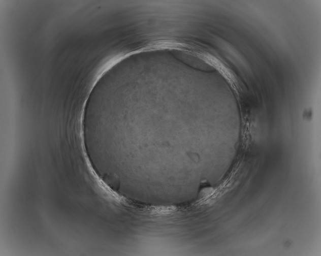 X0000096181055200801181308