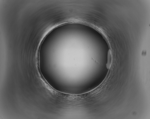 X0000096181056200801181308