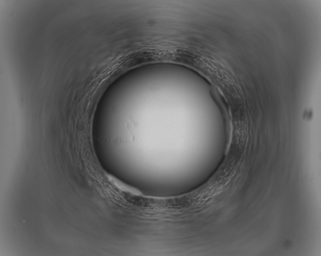 X0000096181057200801181307