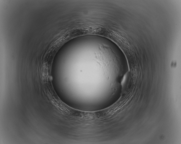 X0000096181058200801181307