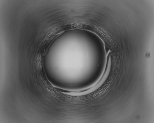 X0000096181060200801181307
