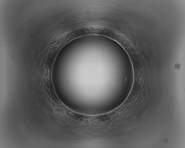 X0000096181061200801181307