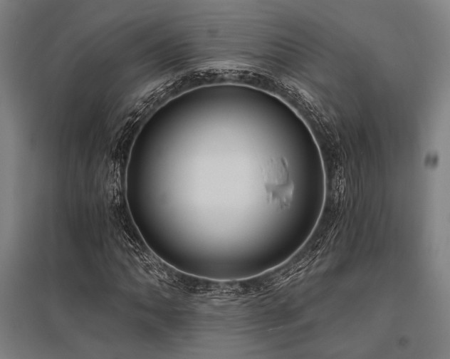 X0000096181062200801181307