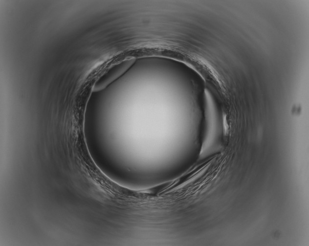 X0000096181064200801181307