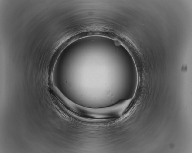 X0000096181065200801181307