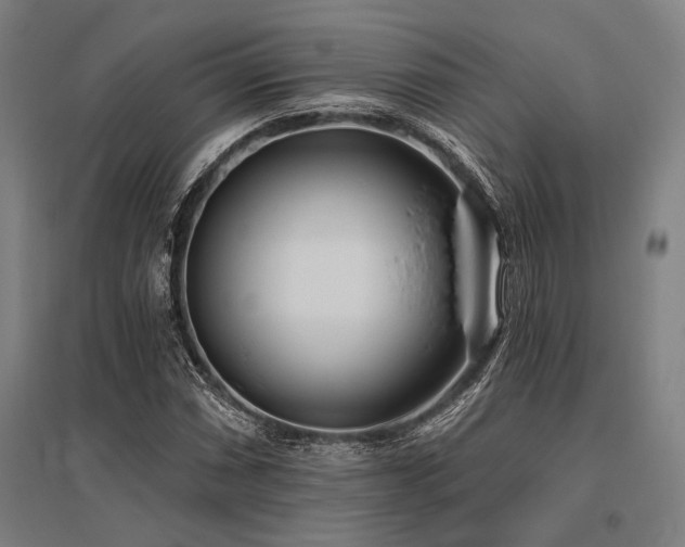 X0000096181066200801181307