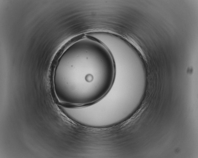 X0000096181068200801181307