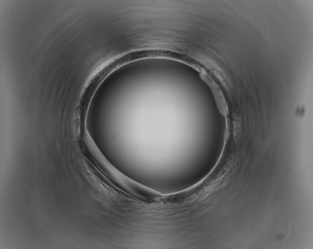 X0000096181069200801181307