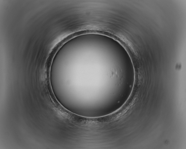X0000096181070200801181307